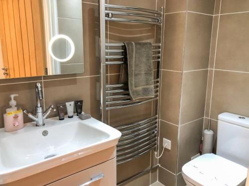 a bathroom with a sink and a toilet and a mirror at The Hideaway in St Ives