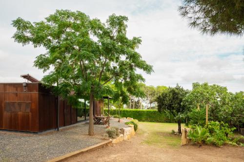 Κήπος έξω από το Menta House preciosa eco-casa con gran jardin y barbacoa