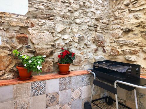 una pared de piedra con dos plantas y una parrilla en Tío Genaro, en Cumbres de San Bartolomé