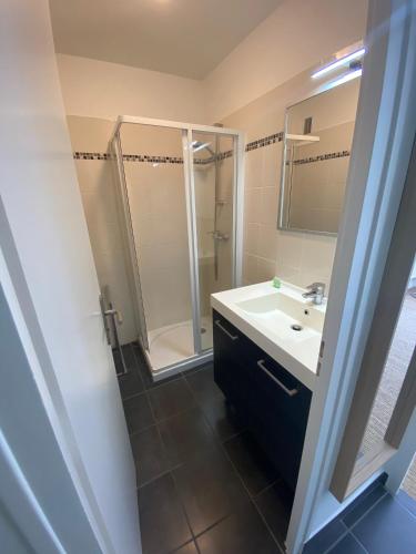 une salle de bain avec un lavabo et une douche dans l'établissement Les Suites du Port, au Bourget-du-Lac