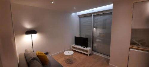 un salon avec un canapé et une télévision à écran plat dans l'établissement T 2 MOTTLAND 300 m Plage, à La Grande Motte