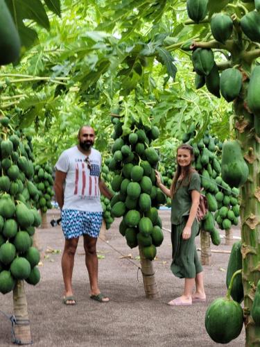 a man and woman standing next to a bunch of green bananas at Dhonkamana Stay in Thoddoo