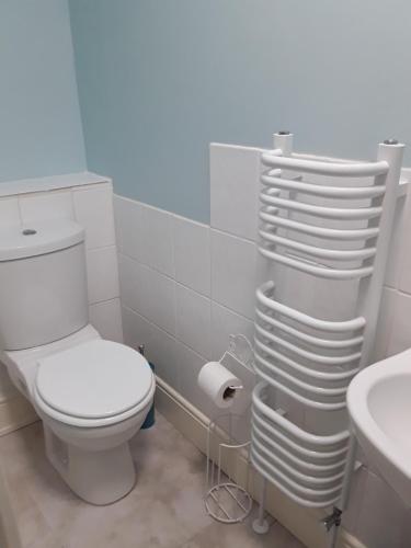 a bathroom with a white toilet and a sink at Sharlands Farm Bed and Breakfast in Bude