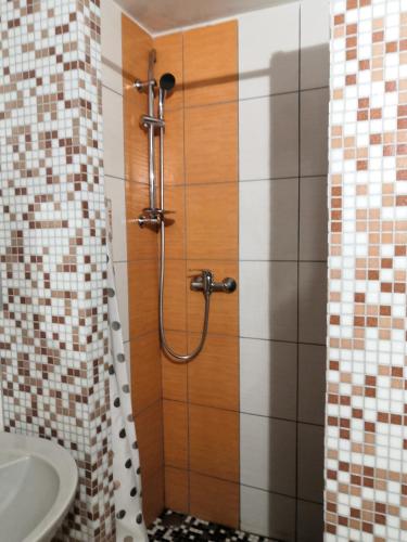 a bathroom with a shower with a toilet and a sink at Penzion u Šmídů Náměstí in Jaroslavice