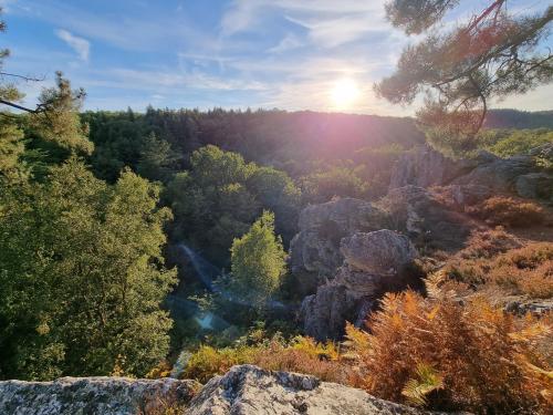 a view of a valley with trees and rocks at La Tiny proche lac et forêt in Sillé-le-Guillaume