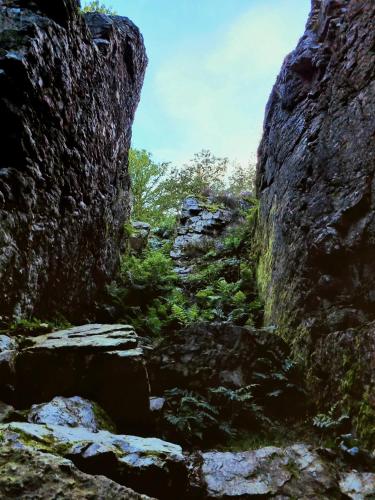 a view of a canyon with rocks and trees at La Tiny proche lac et forêt in Sillé-le-Guillaume