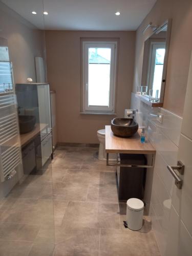 a bathroom with a sink and a toilet and a counter at FeWo Marie Magdalena in Groß Köris