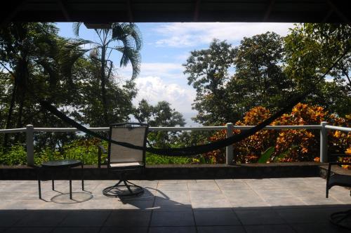 a bench sitting on a porch with a tree at Tiskita Jungle Lodge in Pavones