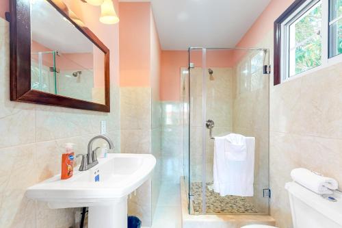 a bathroom with a sink and a shower at Came at Hummingbird Estate Gold Standard Certified in Dangriga