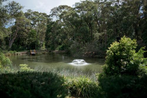 a person is in the water in a pond at Bells at Killcare Boutique Hotel, Restaurant & Spa in Killcare