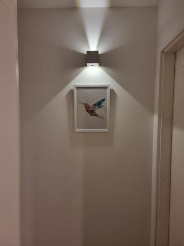 a ceiling fan with a picture of a bird on a wall at Nueva Córdoba - Premium in Cordoba