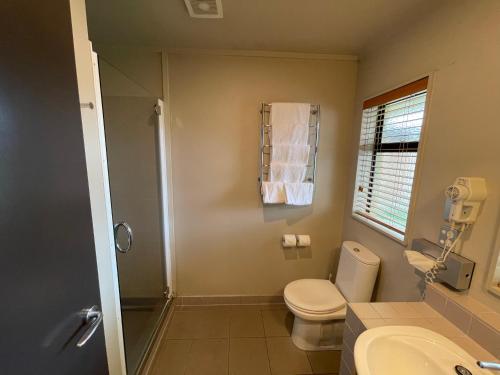 a bathroom with a toilet and a sink at Bentleys Motor Inn in Palmerston North