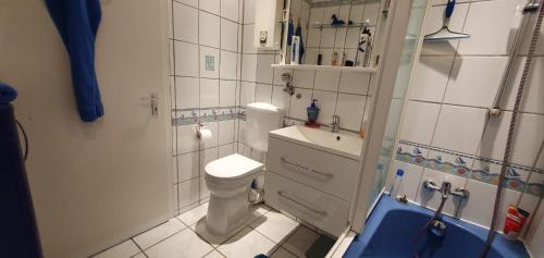 uma casa de banho com um WC, um lavatório e um chuveiro em Veronika em Erftstadt