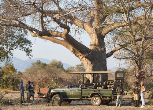 a green truck parked in front of a tree at Zambezi Grande Private Game Experience in Mafuta