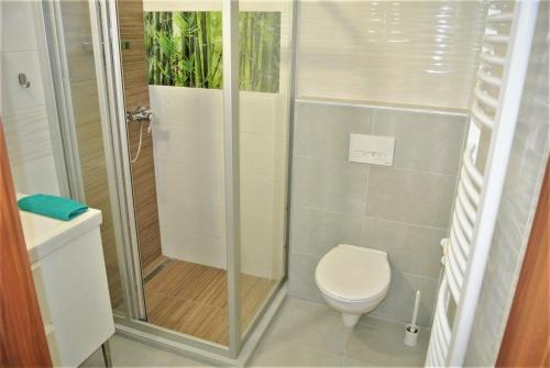 a shower stall with a toilet in a bathroom at D2 Apartment Budapest in Budapest