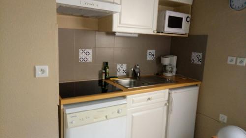 une petite cuisine avec un évier et un micro-ondes dans l'établissement Résidence Eterle, à Luz-Saint-Sauveur
