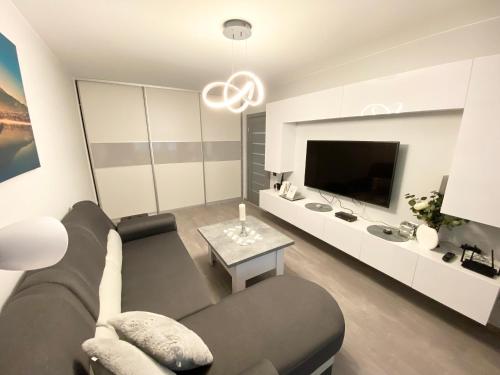 sala de estar con sofá y TV en Studio flat in Panevezys en Panevėžys