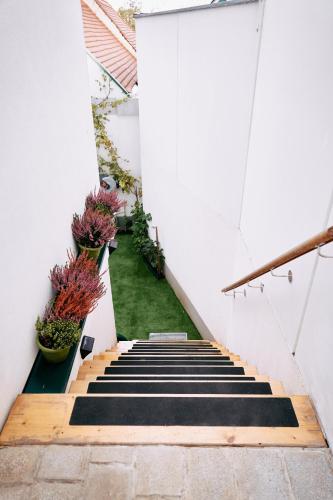 a staircase in a house with plants on it at Apartment für 2 Erwachsene und 2 Kinder, ausgestattet mit einem Weinkeller und einem kleinen Hof - SELF-MADE FRÜHSTÜCK INBEGRIFFEN in Retz