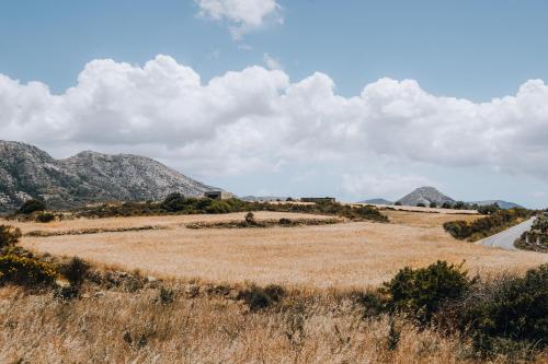 a road in a field with mountains in the background at Xerolithos Natural Living in Naxos Chora