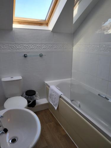 a bathroom with a sink and a toilet and a bath tub at The Stores in Aberystwyth