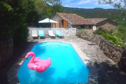 une piscine avec un flamant rose au milieu dans l'établissement Maison de charme 3 étoiles dans les Cévennes avec terrasse et piscine privée, à Cros