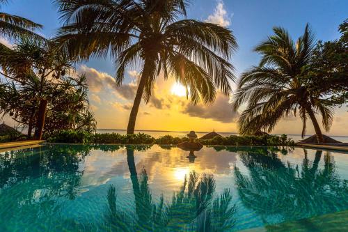 a large body of water with palm trees at Sunshine Hotel Zanzibar in Matemwe
