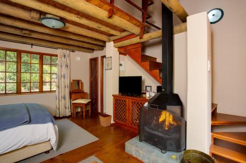 a bedroom with a fireplace in a room with a bed at Whispering Pines Country Estate in Magaliesburg