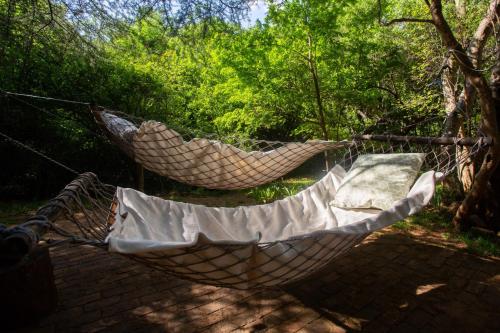 two hammocks hanging from a tree in a yard at Whispering Pines Country Estate in Magaliesburg