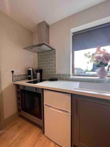 Seaview 1 bed open condo - free parking photo 27