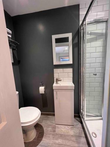 a bathroom with a toilet and a sink and a shower at Seaview 1 bed open condo - free parking in Brighton & Hove