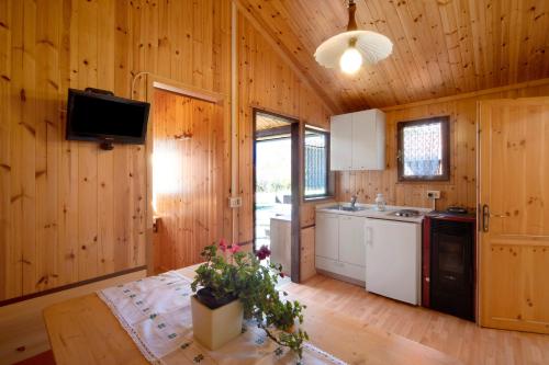 a kitchen with wooden walls and a table with a plant on it at Casa Rododendro in Barzio