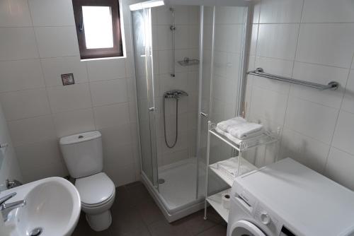 een badkamer met een douche, een toilet en een wastafel bij Zangoulos Mountain in Kakopetria