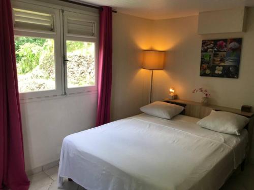 A bed or beds in a room at APPARTEMENT COLIBRI , Les Anses d 'Arlet