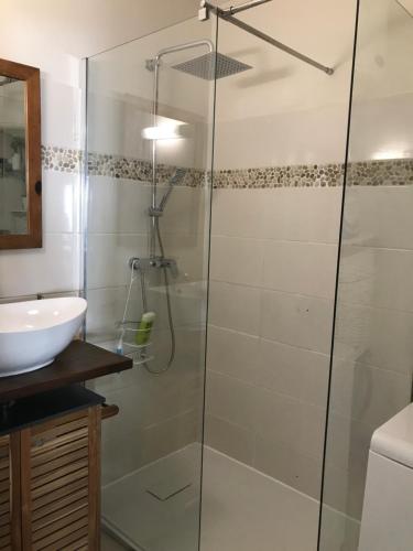 a bathroom with a shower and a sink at APPARTEMENT COLIBRI , Les Anses d 'Arlet in Les Anses-dʼArlets