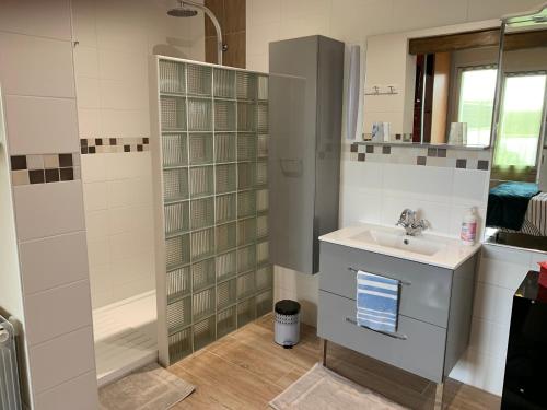 een badkamer met een wastafel en een douche bij Gîte les Randonneurs in Fontenay-le-Comte