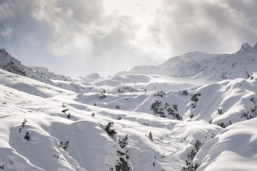 a snow covered mountain with trees in the distance at Ferienwohnung Heidi in Elmen