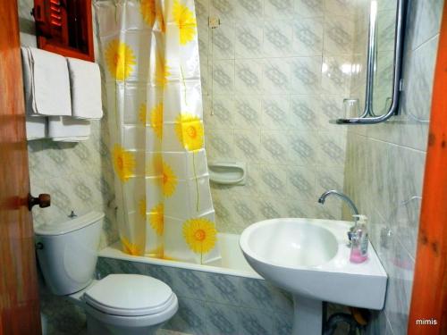 a bathroom with a toilet and a shower curtain with flowers at Mihalis Studios in Karpathos Town