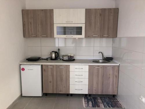 クマノヴォにあるAstoria Luxeのキッチン(木製キャビネット、シンク、冷蔵庫付)