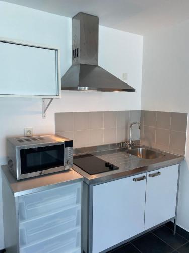 a kitchen with a microwave and a sink at Escapade au bord du lac du Bourget in Le Bourget-du-Lac
