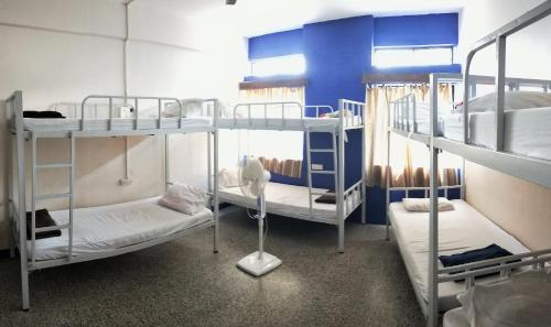 Monkey Mind Hostel في مادغاون: غرفة بها ثلاثة أسرة بطابقين
