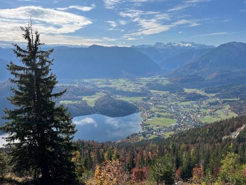 a view of a lake from the top of a mountain at Ferienwohnungen Mikula-Hubacek in Bad Aussee