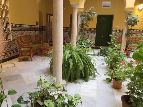 Apartamento Centro Historico solo office