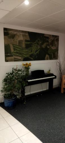 a black piano sitting in a room with plants at Le Repaire du Golfeur de la Largue - Mooslargue in Mooslargue