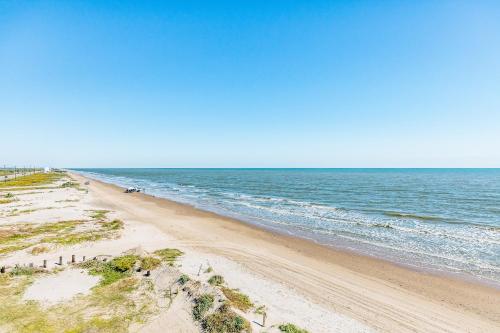 The Salty Dog – Photos 4