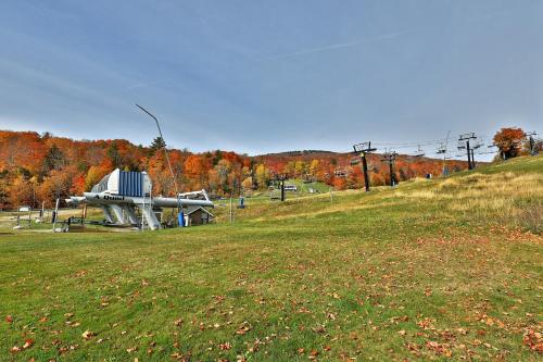 un campo de hierba con un parque con un telescopio en Okemo Mountain Lodge en Ludlow