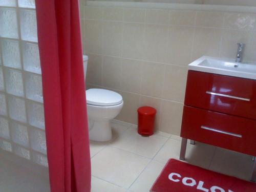 y baño con aseo, lavabo y cortina de ducha roja. en STUDIO 1 - Grande Anse - 4 pers - proche bourg, en Terre-de-Haut