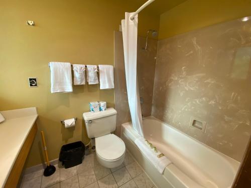 a bathroom with a toilet and a shower and a sink at BeachCombers Inn in Gold Beach