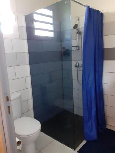 a bathroom with a toilet and a shower with a blue shower curtain at Ti Kaban Letchi in Le Tampon