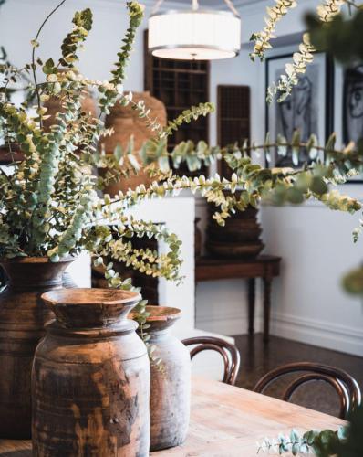 a table with three vases on it with plants at Hotel Bellinzona Daylesford in Hepburn Springs