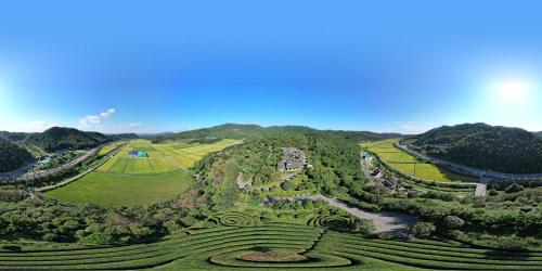 an aerial view of a tea plantation in the hills at Golmangtae Pension in Boseong